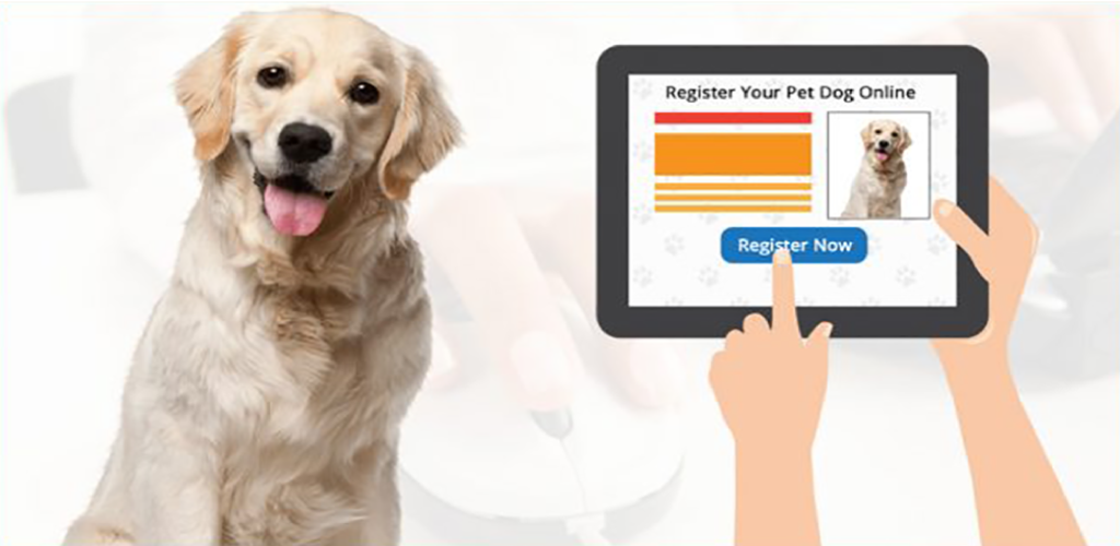 Регистрация pet. Dog License. Регистрация собаки с idbc в ABKC. Mumu Pet без регистрации. Registration for Pet Dogs and Cats.