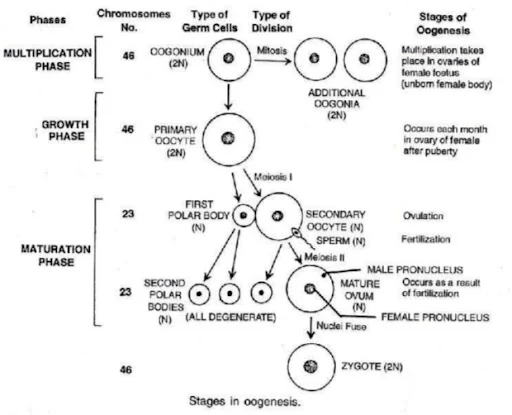 Solution Image