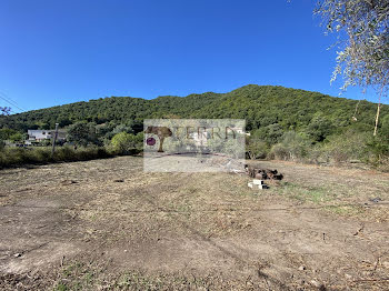 terrain à Serra-di-Fiumorbo (2B)