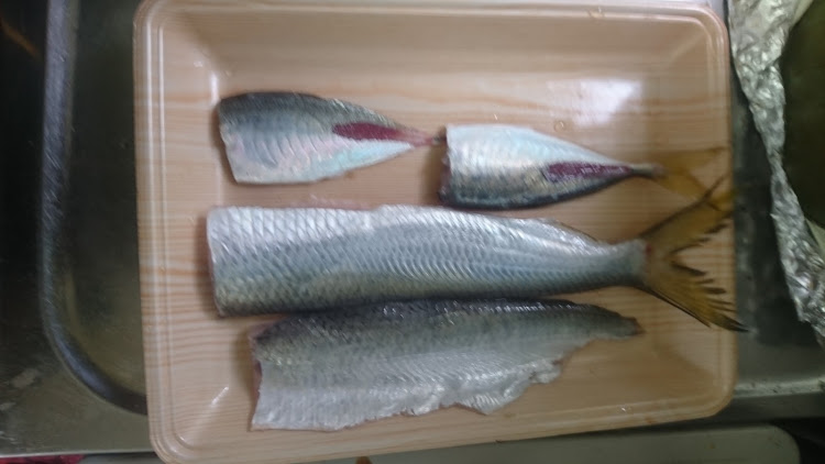 高松さんが投稿した天草・釣り🎣・楽しい時間に関するカスタム事例の投稿画像1枚目