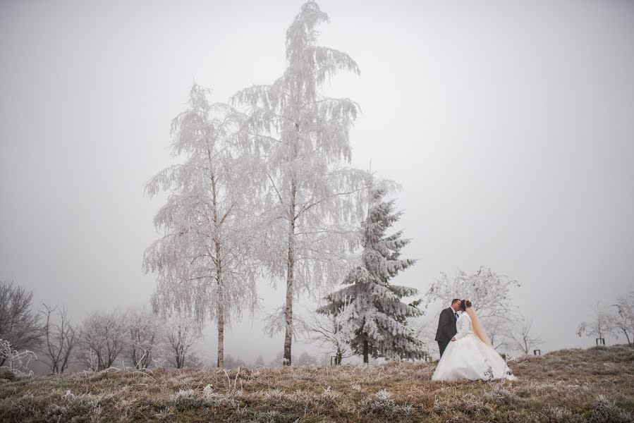 Fotograf ślubny Alina Stecyuk (alinast). Zdjęcie z 29 listopada 2019