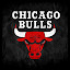 Chicago Bulls Wallpaper HD