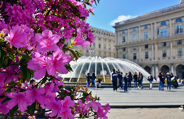 Primavera, tempo di gite scolastiche... di ely50