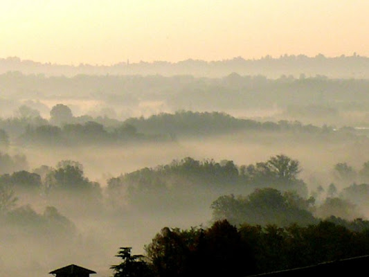 Nebbie mattutine di ciarlymax