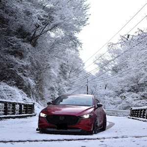 MAZDA3 BP8P