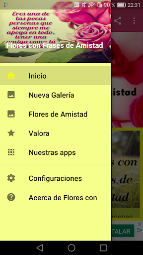 Flores con Frases de Amistad