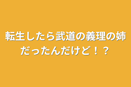 転生したら武道の義理の姉だったんだけど！？