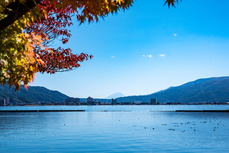 メガーヌ ハッチバックの紅葉真っ盛りです🍁・諏訪湖・諏訪からも富士山見えまっせ・スワフォルニア・紅葉と愛車に関するカスタム事例の投稿画像2枚目