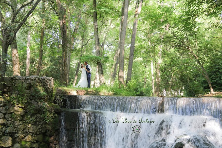 Fotógrafo de bodas Virginie Marguier (desclics2bonheur). Foto del 27 de junio 2018