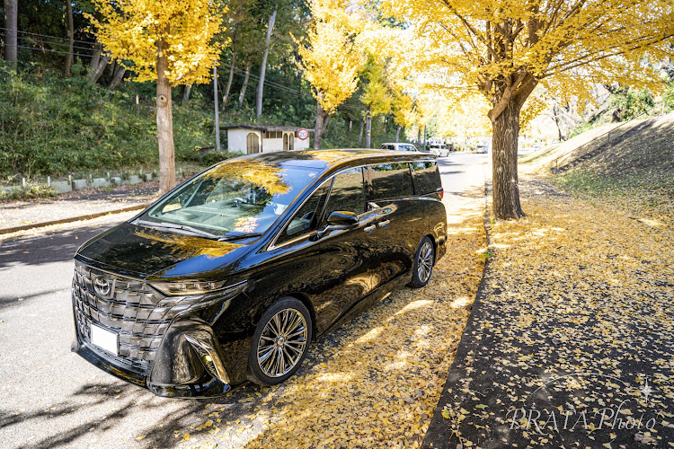 アルファードのdiscover＿ct・BLITZ DAMPER ZZ-R L Spec DSC Plus・イチョウ並木・黄葉撮影・日常に潜む彩に関するカスタム事例の投稿画像3枚目