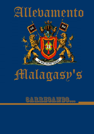 Allevamento Malagasy's