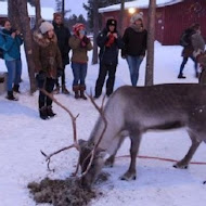 麋鹿 Reindeer 餐酒館