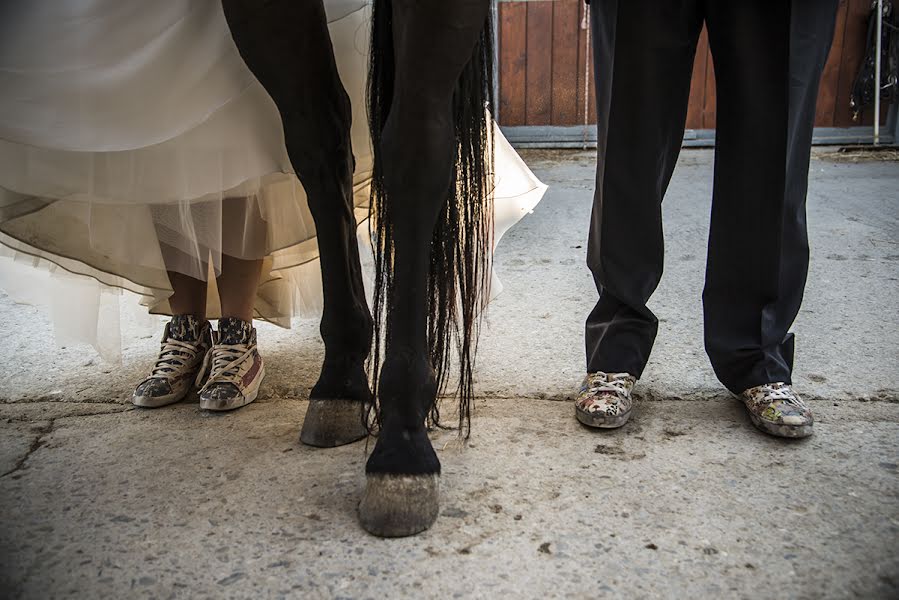 Fotografo di matrimoni Sara Lombardi (saralombardi). Foto del 30 gennaio 2014