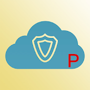 PRO. Certified Cloud Security Professional (CCSP)