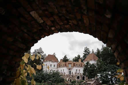 Hochzeitsfotograf Egor Dmitriev (dmitrievegori). Foto vom 16. November 2019