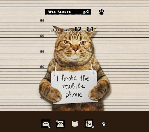 Screenshot Cat Mug Shot Theme