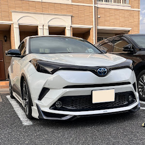 C-HR ZYX10