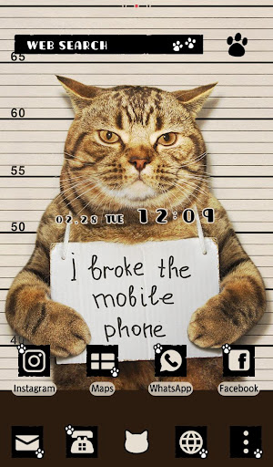 Wallpaper Cat Mug Shot Theme 1.0.0 Windows u7528 5