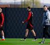 Un forfait de dernière minute pour les Diables Rouges en Irlande !