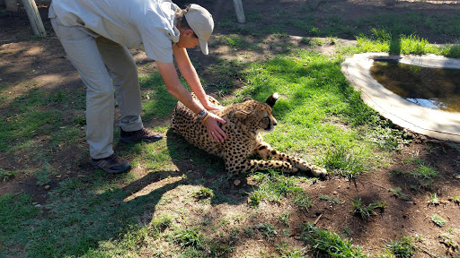 Lion Park South Africa 2015