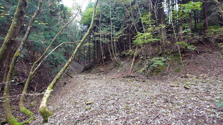 ジムニーの林道調査・山歩き・林道忍山線・桐生市梅田町に関するカスタム事例の投稿画像14枚目