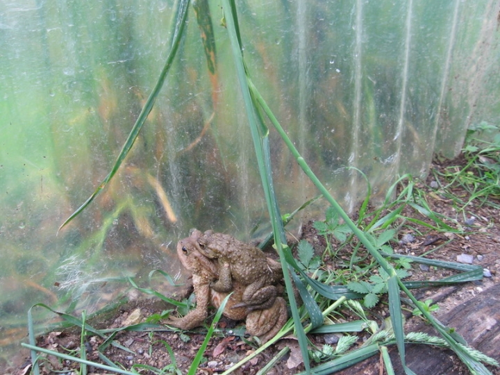 Vicini...vicini di fotogriama