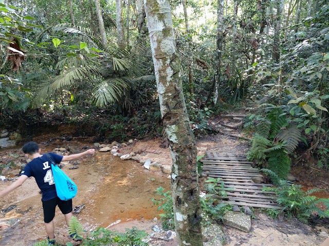 Bukit Gasing trail