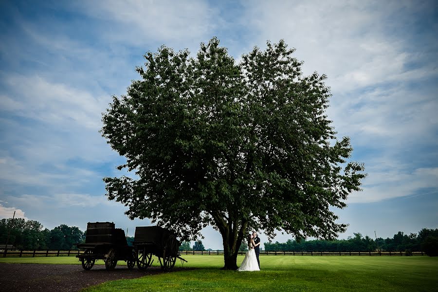 Photographe de mariage Diego Miscioscia (diegomiscioscia). Photo du 4 août 2014