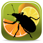 Citrus Pests Key Apk