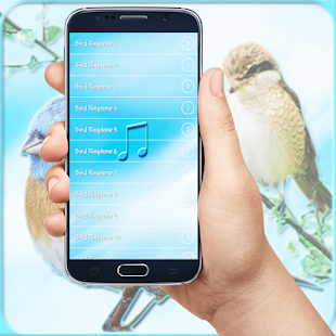 How to download Bird Ringtones 2017 1.0 apk for bluestacks