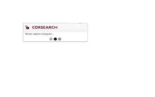 Corsearch Investigation Tool-QA