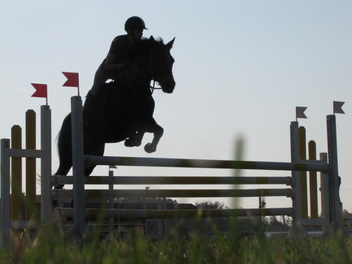 Equitazione: salto al tramonto di shara