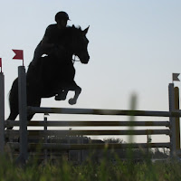 Equitazione: salto al tramonto di 