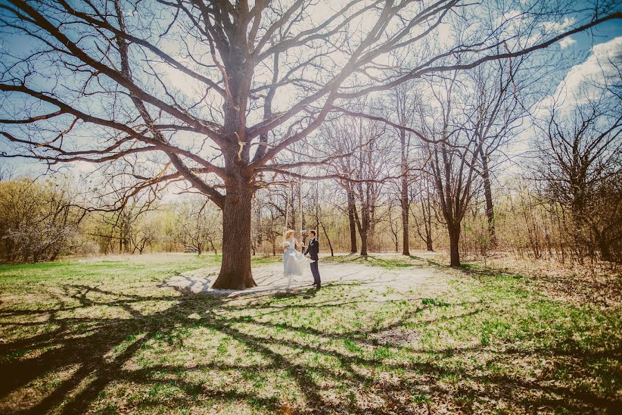 Fotografo di matrimoni Katarzyna Michałaki (savoyar). Foto del 11 giugno 2015