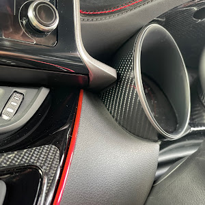 C-HR NGX10
