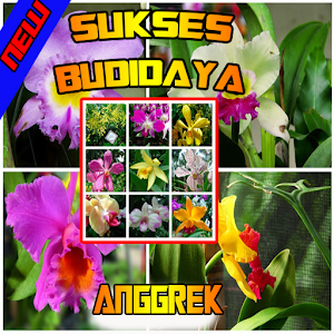 Download Rahasia Sukses  Budidaya Anggrek For PC Windows and Mac