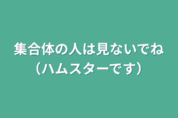 集合体の人は見ないでね（ハムスターです）