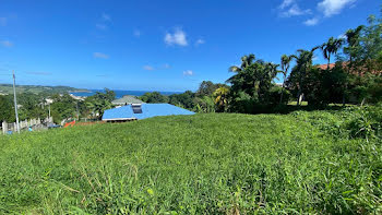 terrain à Sainte Marie (972)