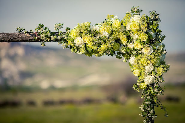 Fotografo di matrimoni Alina Popova (alinalito). Foto del 21 giugno 2017