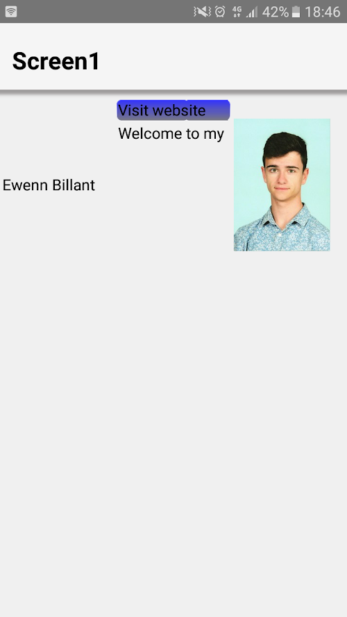 Android application Ewenn Billant CV screenshort