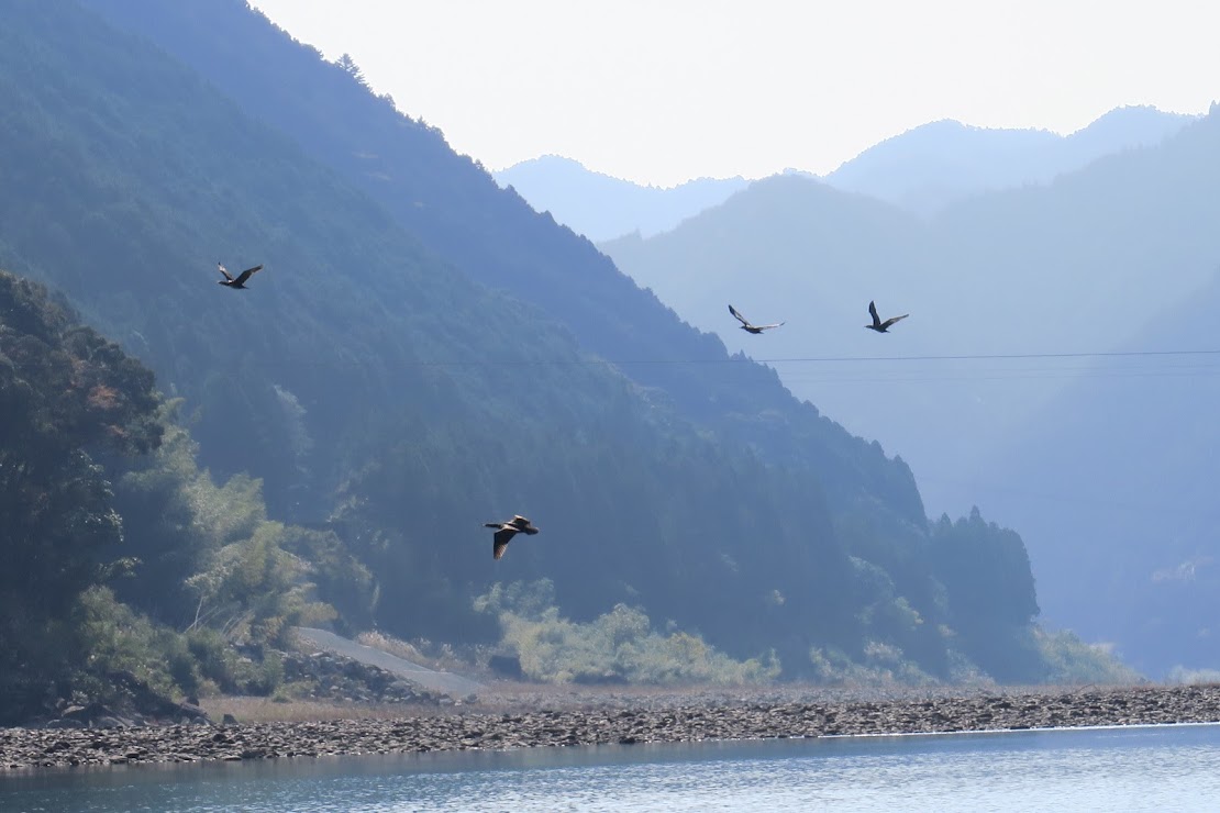 Kumano Kodo – travelling by traditional river boat from Hongu to Shingu