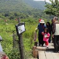 【竹子湖】苗榜花園餐廳