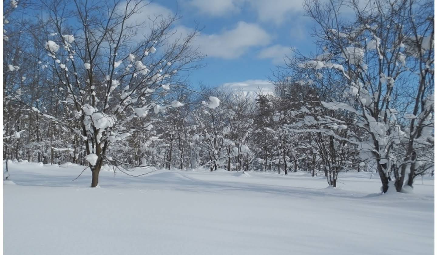 Maison Niseko