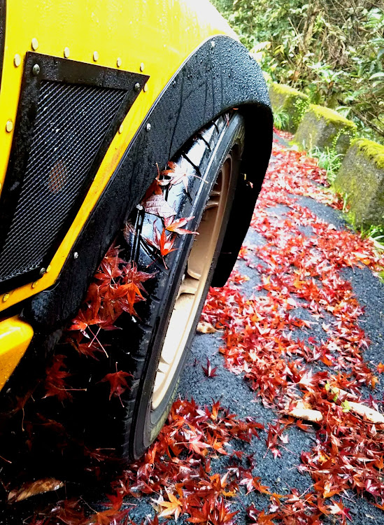 AZ-1の紅葉🍁・雨の日ショット・紅葉コラボ・スマホ撮影に関するカスタム事例の投稿画像6枚目