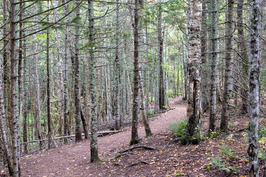 Wyspa Księcia Edwarda, Ania z Zielonego Wzgórza, Green Gables