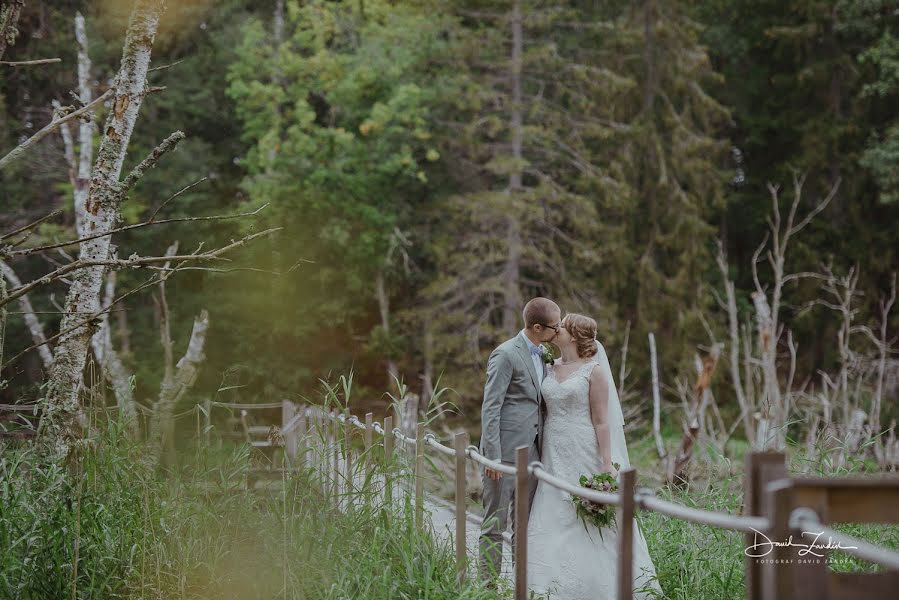 Fotógrafo de casamento David Zandén (zanden). Foto de 5 de dezembro 2021