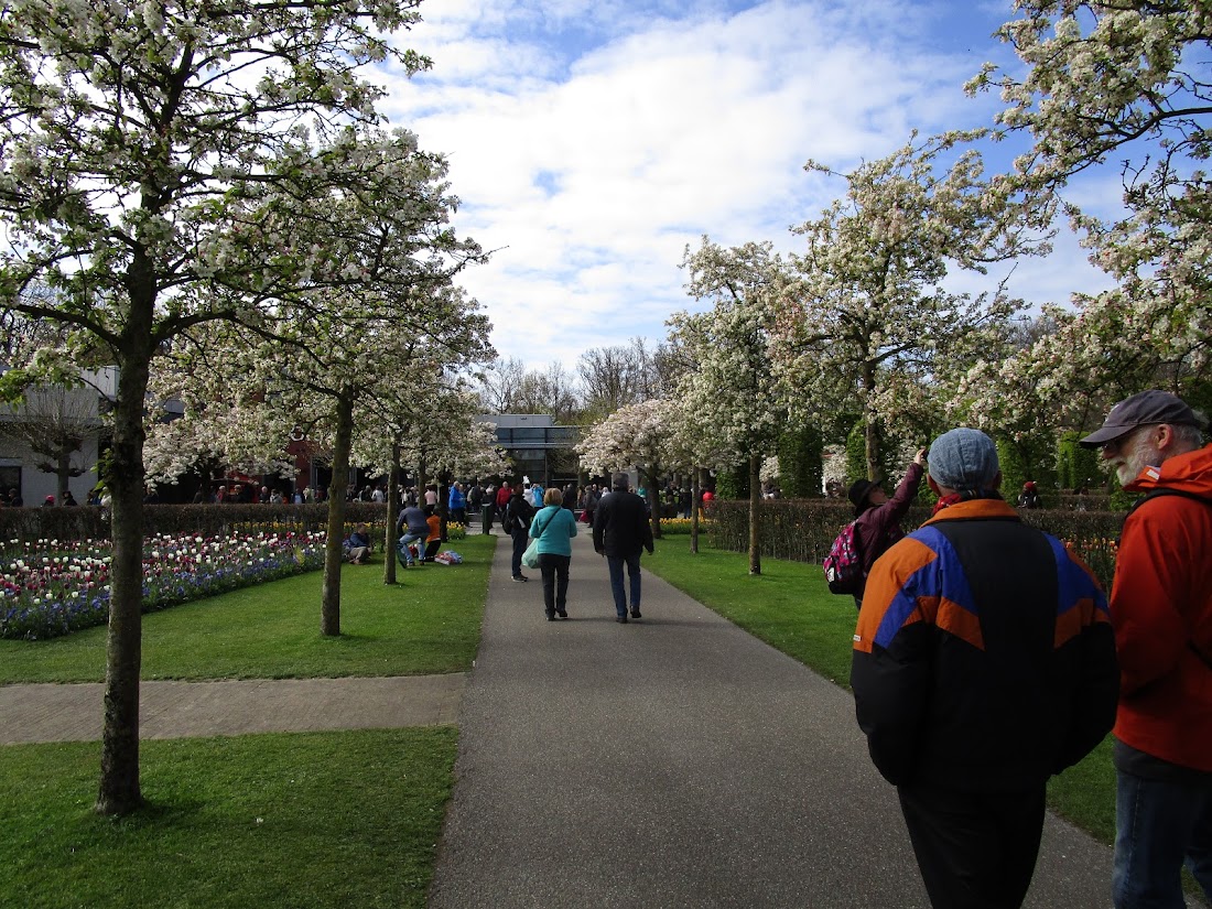 Парк Keukenhof, Ouddorp и Rotterdam "на закуску" - апрель 2017