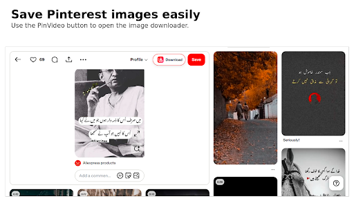 Pinterest Video Downloader | PinVideo screenshot 3