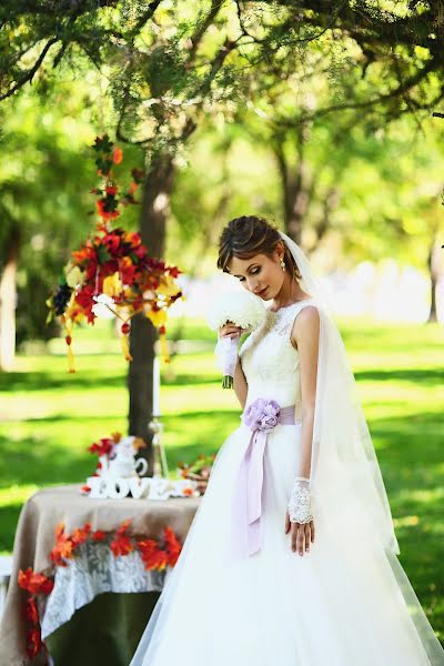 Wedding photographer Svetlana Sokolova (sokolovasvetlana). Photo of 29 November 2014