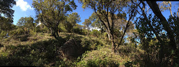 terrain à Porto-Vecchio (2A)